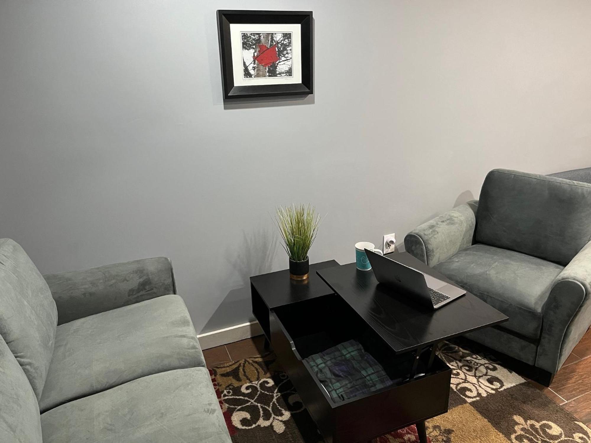 Plush Garden Level Apartment Near Stowe Morristown Extérieur photo